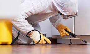 Best Residential Pest Control  in Webberville, MI